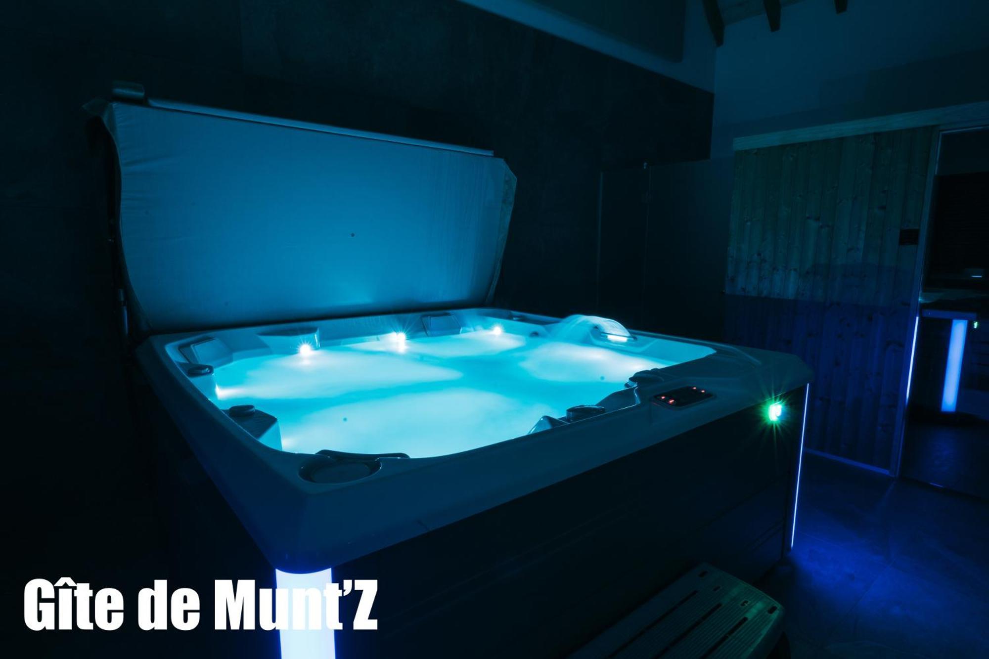 Gite De Munt'Z Spa, Sauna, Piscine, Proche De Colmar Muntzenheim Exterior foto